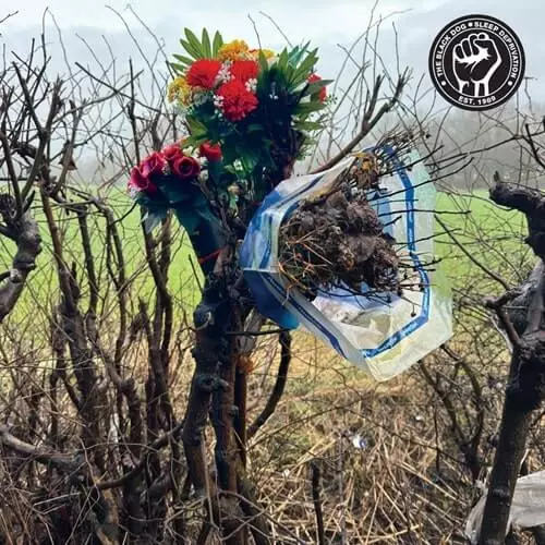 BLACK DOG / ブラック・ドッグ / SLEEP DEPRIVATION (CD)