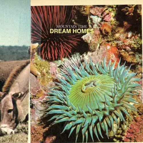 MOUNTAIN TIME / マウンテン・タイム / DREAM HOMES (LP)