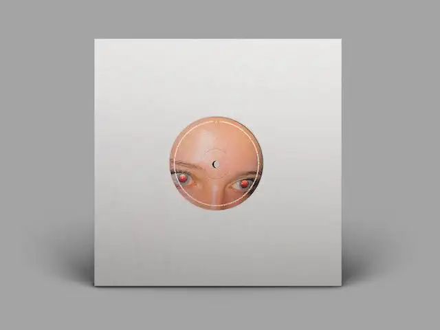 レコード　フーリン LPx2】ザ・スターリン – FOR NEVER | マメシバレコード