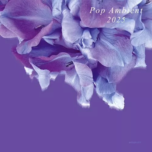 V.A.(POP AMBIENT) / POP AMBIENT 2025 (CD)