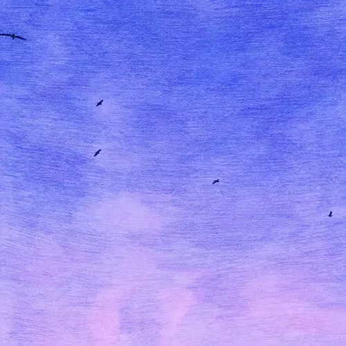AUNTIE FLO / IN MY DREAMS (I’M A BIRD AND I’M FREE) LP