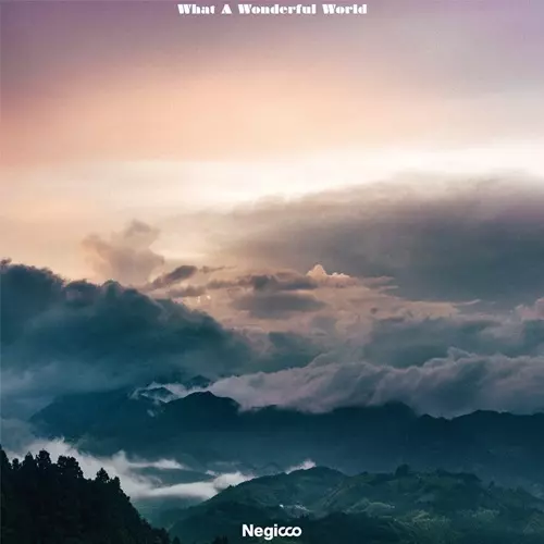中古「未使用品」［CD］What A Wonderful World(アナログ What A