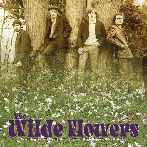 WILDE FLOWERS / ワイルド・フラワーズ / THE WILDE FLOWERS: 500 COPIES LIMITED CLEAR YELLOW COLOR VINYL
