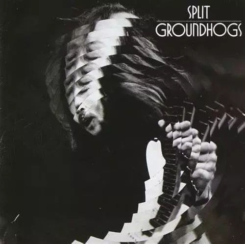GROUNDHOGS / グラウンドホッグス商品一覧｜JAZZ｜ディスク