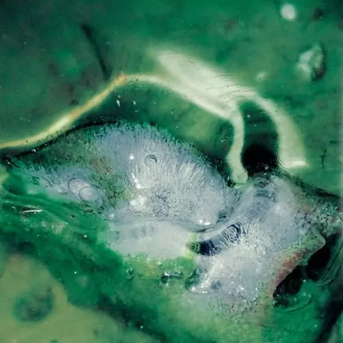 TRISTAN ARP / トリスタン・アープ / a pool, a portal (CD)