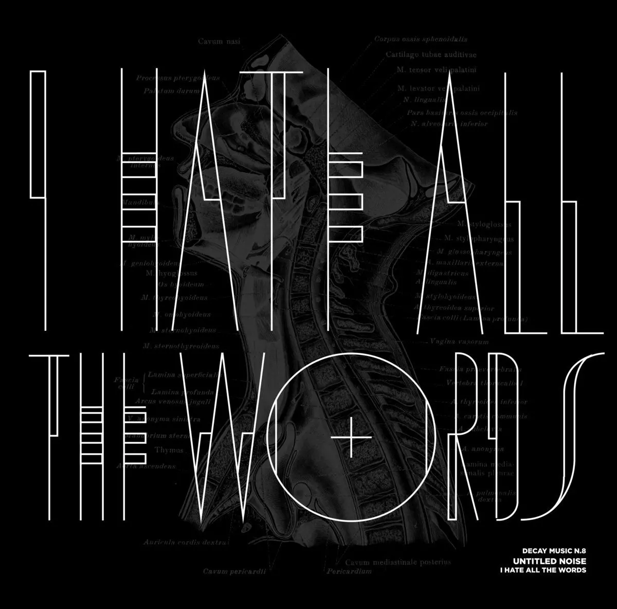 UNTITLED NOISE / DECAY MUSIC N.8: I HATE ALL THE WORDS
