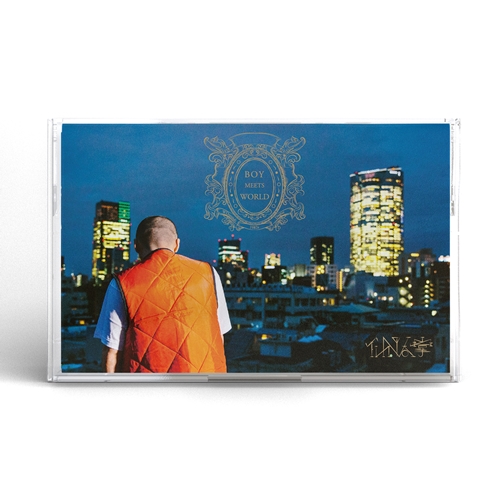 仙人掌 / boy meets world 2LP 邦楽 