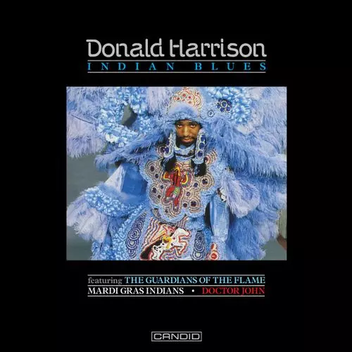 DR. JOHN & DONALD HARRISON / ドクター・ジョン & ドナルド・ハリソン / インディアン・ブルース