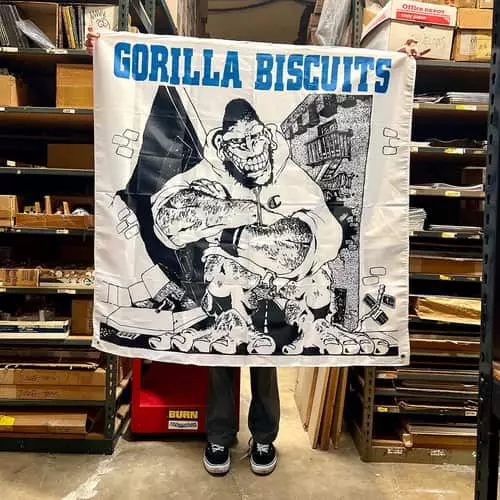 GORILLA BISCUITS / ゴリラ・ビスケッツ / EP COVER BANNER