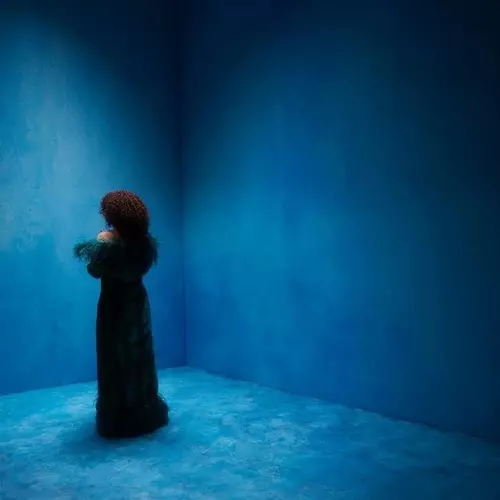ENCHANTEE JULIA / ONZE (LP)
