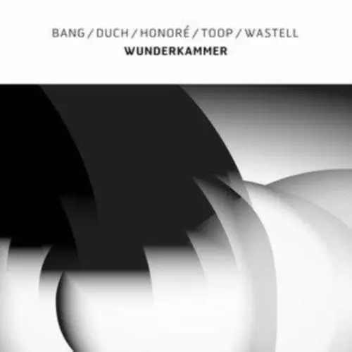 DAVID TOOP / デイヴィッド・トゥープ / Wunderkammer (LP/White Vinyl)
