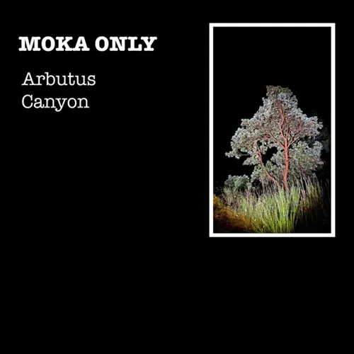 MOKA ONLY One Time 新品未使用7インチ盤　J Dilla MOKA ONLY One Time 新品未使用7インチ盤 J Dilla レコード