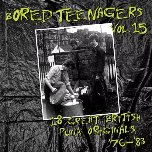 VA (BIN LINER RECORDS) / BORED TEENAGERS VOL.15 (LP)