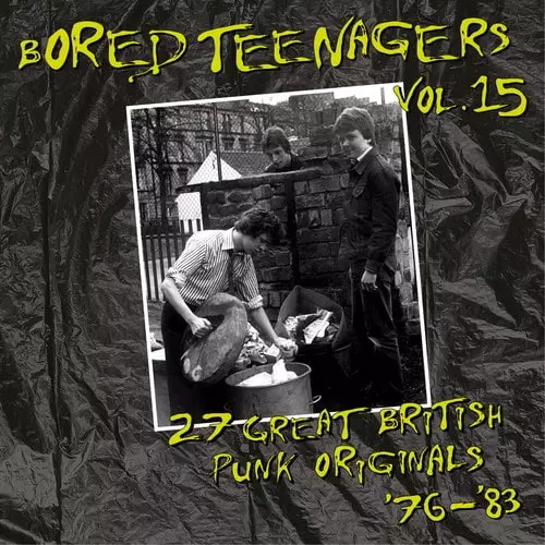 VA (BIN LINER RECORDS) / BORED TEENAGERS VOL.15
