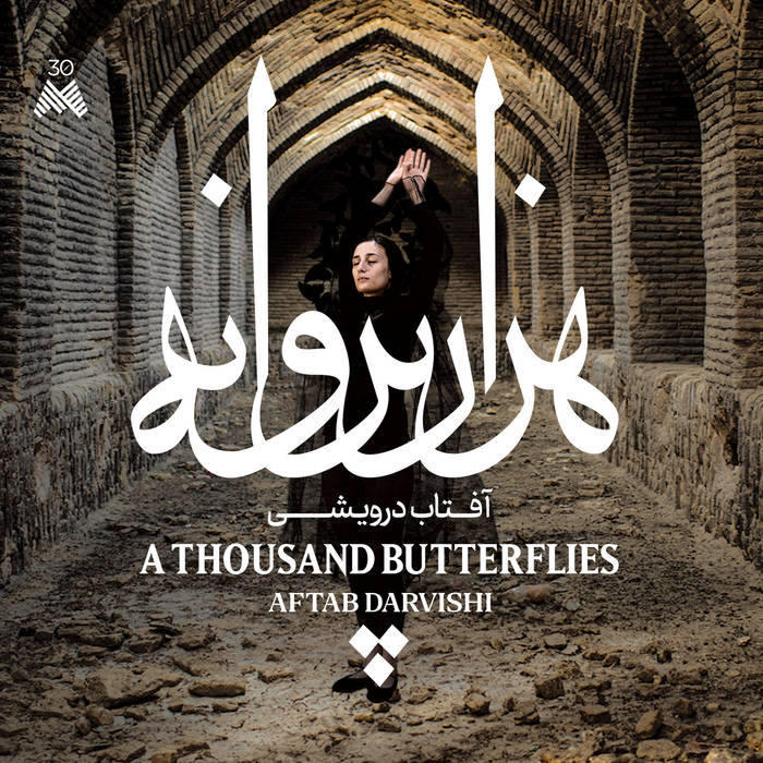 AFTAB DARVISHI / A THOUSAND BUTTERFLIES