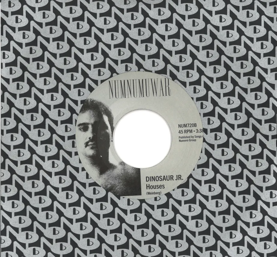 ELYSE WEINBERG & DINOSAUR JR / エリース・ウェインバーグ・アンド・ダイナソー・ジュニア / HOUSES [7"]