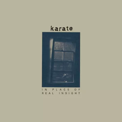 KARATE / カラテ / IN PLACE OF REAL INSIGHT (LP/COLOR VINYL)