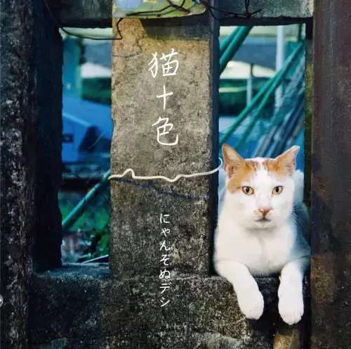 にゃんぞぬデシ / 猫十色
