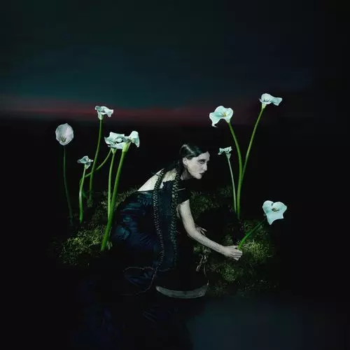 Sparrow's Arrows Fly so High(LP)/Suzumeno Tears/すずめの