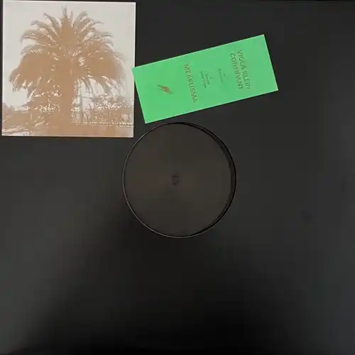 VIOLA KLEIN / CONFIDANT