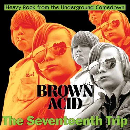 V.A. (BROWN ACID) / BROWN ACID - THE SEVENTEENTH TRIP (CD)