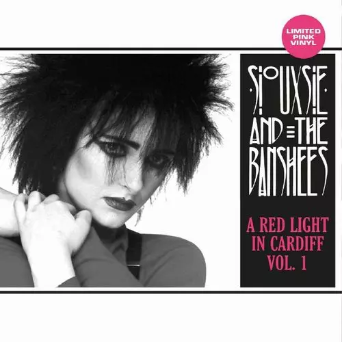 SIOUXSIE AND THE BANSHEES / スージー&ザ・バンシーズ商品一覧｜OLD  ROCK｜ディスクユニオン・オンラインショップ｜diskunion.net