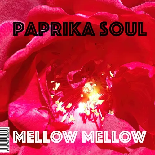 Artist: Paprika Soul : Newtone Records