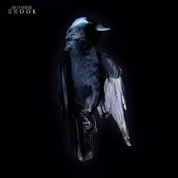 RICO FRIEBE / リコ・フリーベ / SHOOK(国内盤CD)