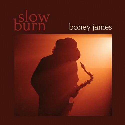 BONEY JAMES / ボニー・ジェイムス / Slow Burn