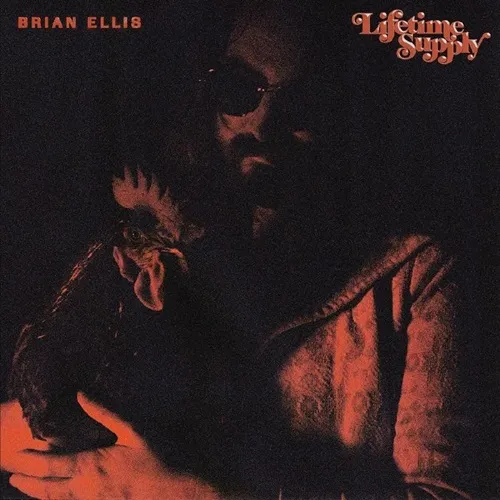 BRIAN ELLIS / ブライアン・エリス / LIFETIME SUPPLY (LP)