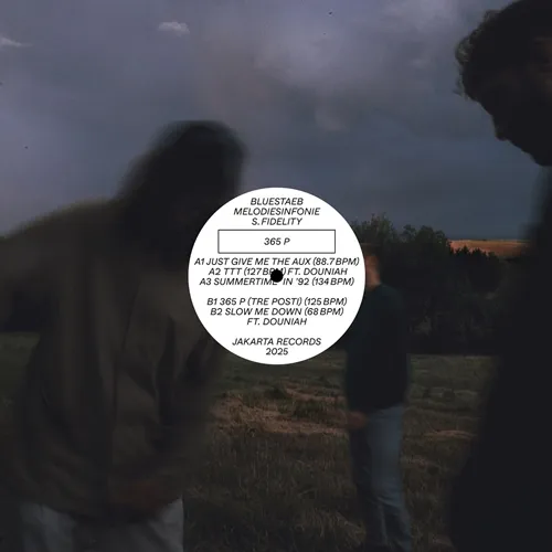 BLUESTAEB, MELODIESINFONIE & S. FIDELITY / 365 P (12INCH)