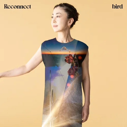 bird / Reconnect(LP)