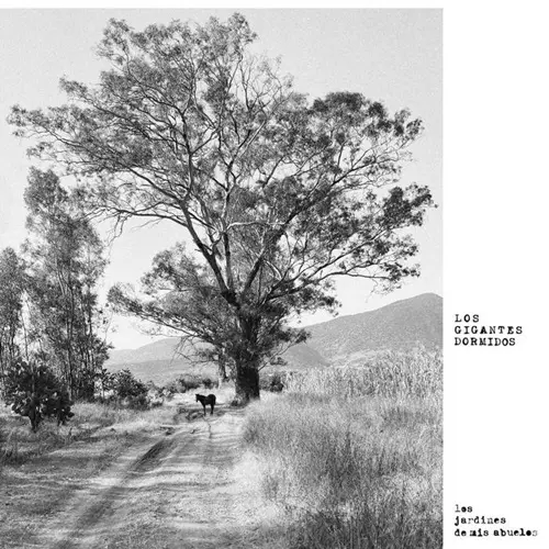 LOS GIGANTES DORMIDOS / ロス・ギガンテス・ドルミドス / LOS JARDINES DE MIS ABUELOS