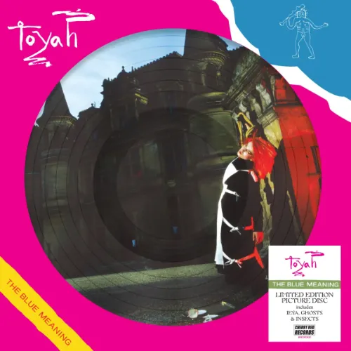 TOYAH / トーヤ / THE BLUE MEANING: LIMITED PICTURE DISC VINYL