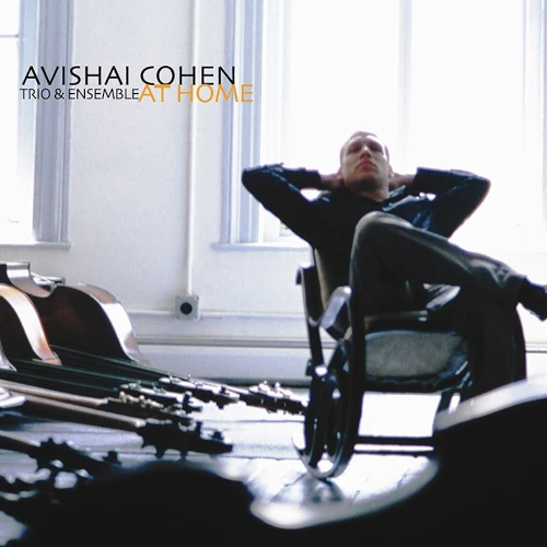 AVISHAI COHEN (BASS) / アヴィシャイ・コーエン / At Home(2LP/180G)