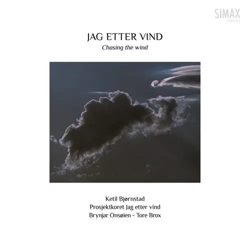 KETIL BJORNSTAD / ケティル・ビヨルンスタ / JAG ETTER VIND