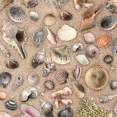 めろんぱんです。 neuron/にゅうろん/チェックラインジャージパンツ | L.H.P