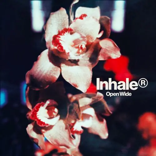 INHALER / OPEN WIDE [STANDARD VINYL]