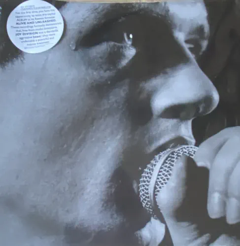 SINGLES 1978-1979/JOY DIVISION/ジョイ・ディヴィジョン/初期衝動の