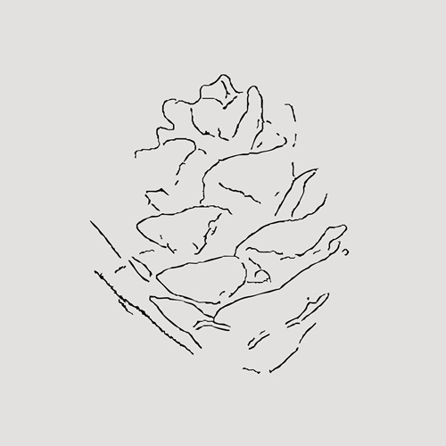 kikuchi keisuke / inspiro(CASSETTE)