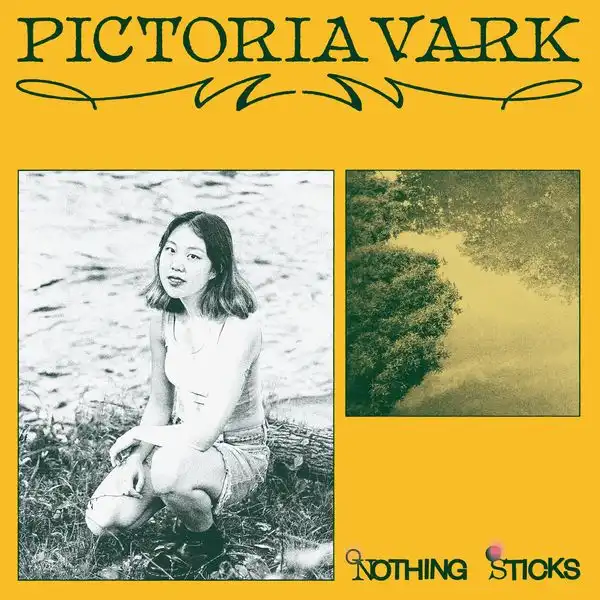 PICTORIA VARK / NOTHING STICKS (LP)