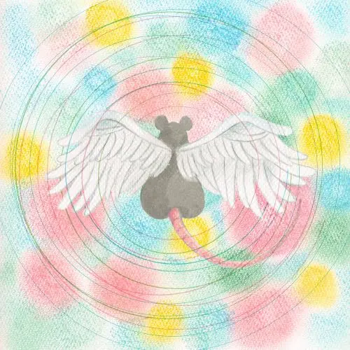 MEI SEMONES / メイ・シモネス / ANIMARU(PINK MARBLE VINYL)