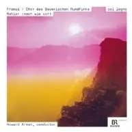 FRANUI / フラヌイ / MAHLER NACH WIE VOR