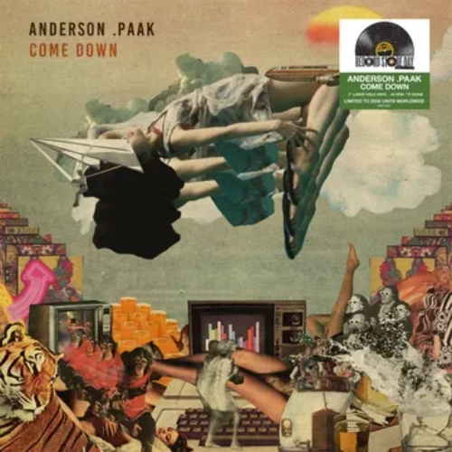 ANDERSON .PAAK / COME DOWN (7inch)