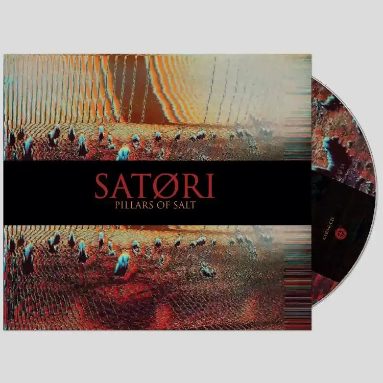 SATORI (NOISE / AVANT) / PILLARS OF SALT [CD]
