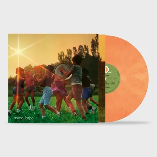 [未開封品 アナログレコード LP+7]　梶芽衣子　やどかり + 修羅の花 梶芽衣子（MEIKO KAJI） - やどかり + 修羅の花 (Vinyl) | NEWTONE RECORDS
