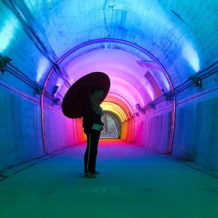 HIDE TAGUCHI / 田口英 / 消えた太陽