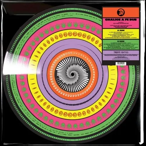 Amazon.com: CYAZOO 3in1 3D Wooden Puzzle for Adults Music