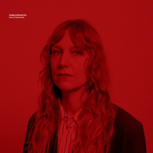 HEDVIG MOLLESTAD / Bees In The Bonnet(LP)