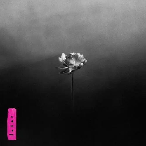 LITTLE SIMZ / LOTUS (国内盤CD)